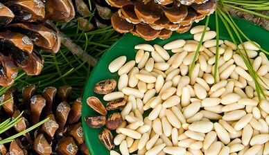 Cedar walnuts to improve power